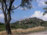 13 Montepulciano